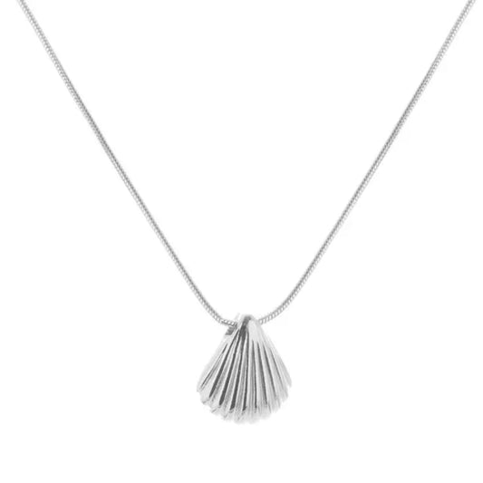 Shell locket